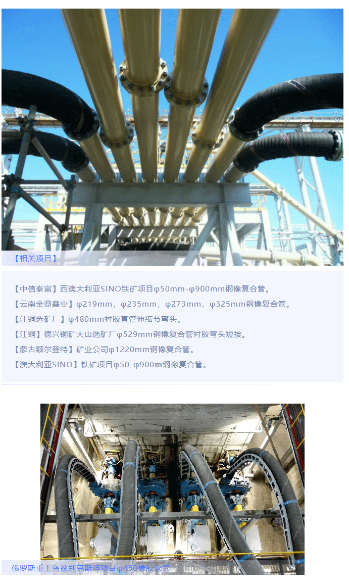 long8-��8(����)Ψһ�ٷ���վ